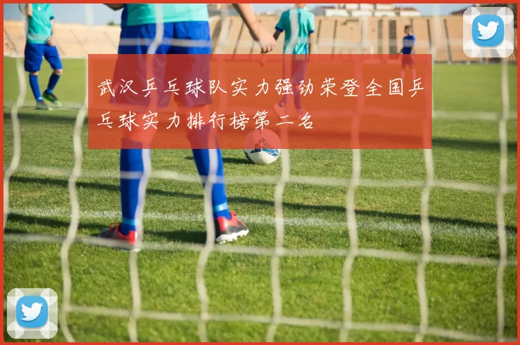 武汉乒乓球队实力强劲荣登全国乒乓球实力排行榜第二名